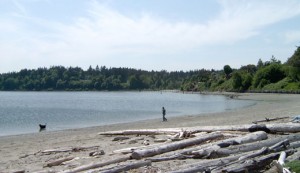 Vashon Beach